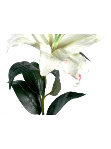 Tige Lys casablanca - Touché naturel - 12 pièces