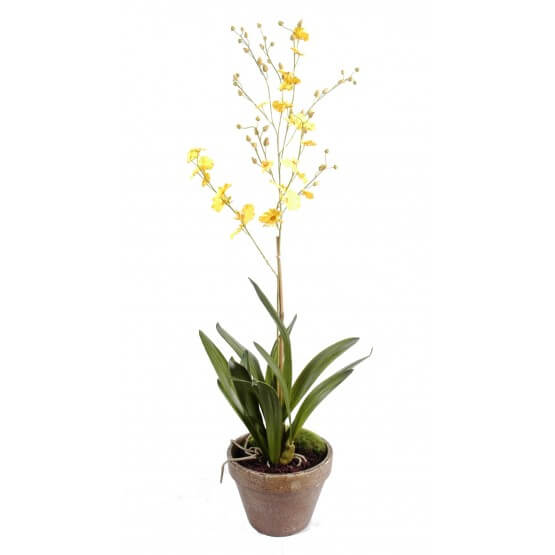 Orchidée artificielle dancing lady - Pot terre