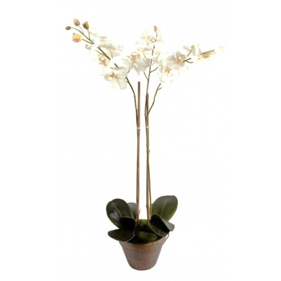 Orchidée artificielle Phalaénopsis - Pot terre