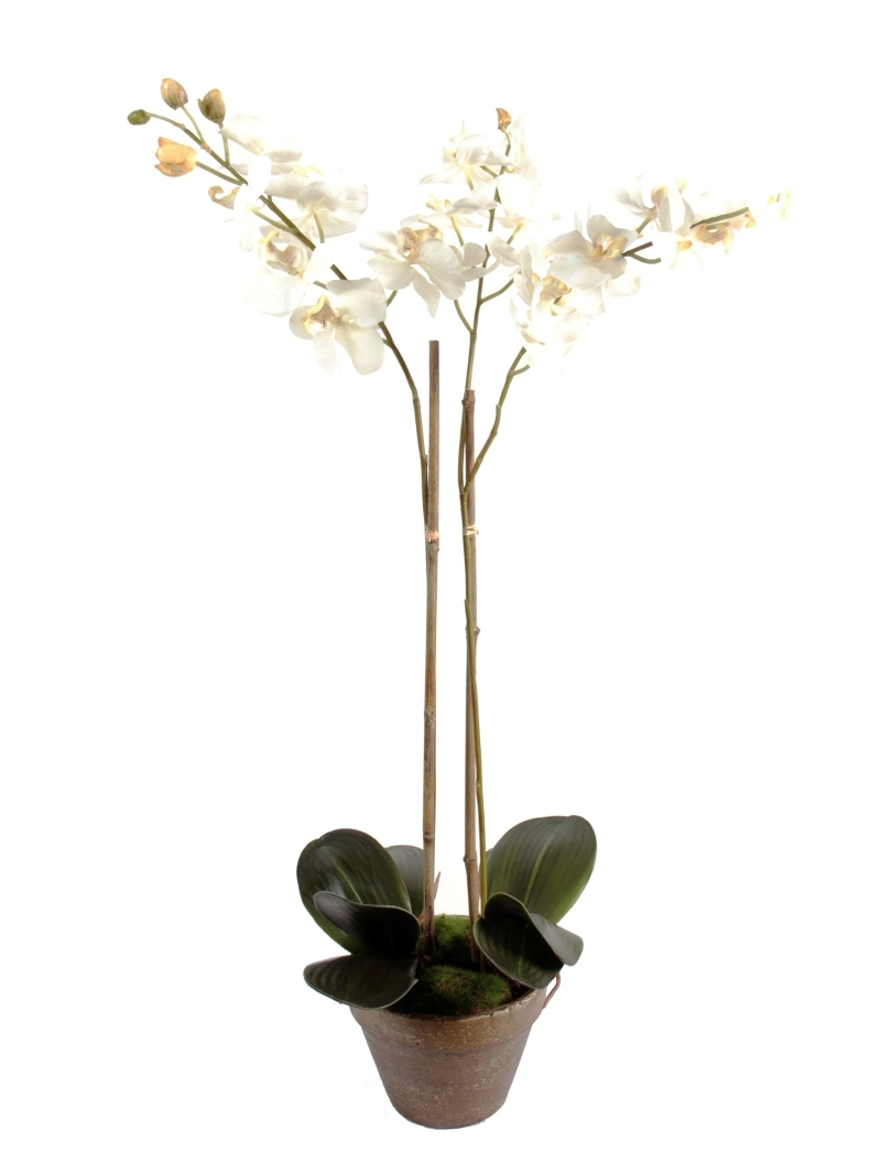 Orchidée artificielle Phalaénopsis - Pot terre