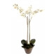 Orchid&eacute;e artificielle Phala&eacute;nopsis - Pot terre Blanc