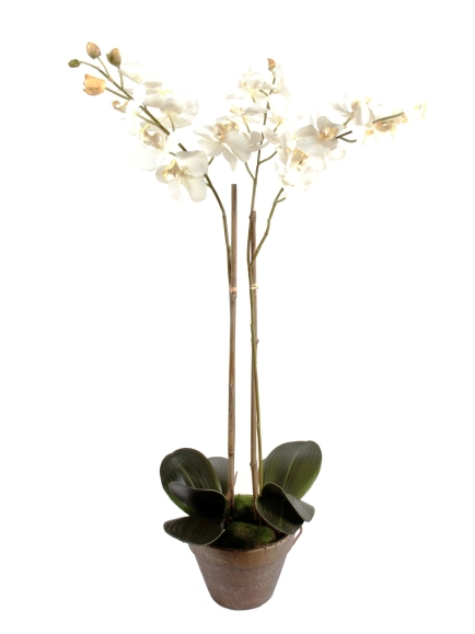 Orchidée artificielle Phalaénopsis - Pot terre