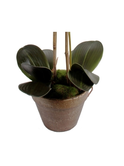 Orchidée artificielle Phalaénopsis - Pot terre