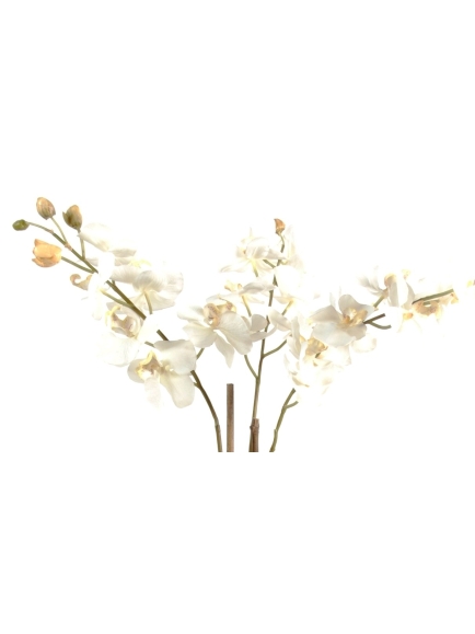Orchidée artificielle Phalaénopsis - Pot terre