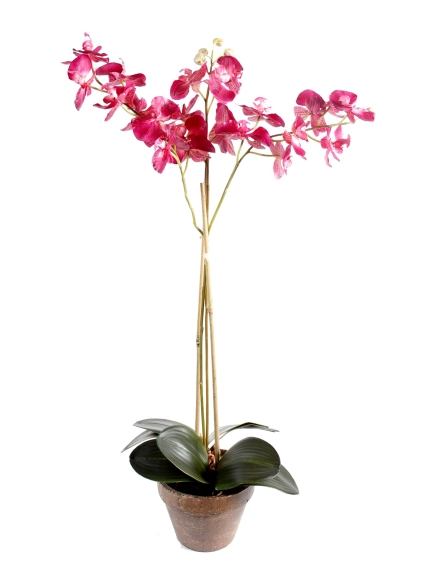 Orchidée artificielle Phalaénopsis - Pot terre