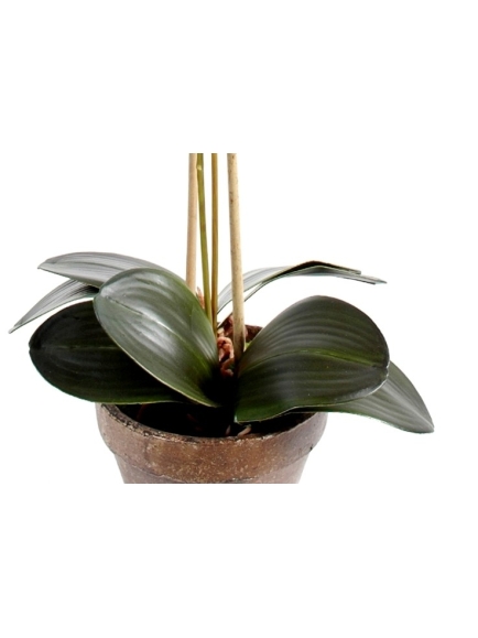 Orchidée artificielle Phalaénopsis - Pot terre