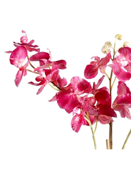 Orchidée artificielle Phalaénopsis - Pot terre