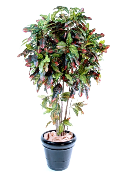 Croton artificiel tronc bois naturel - 110 cm