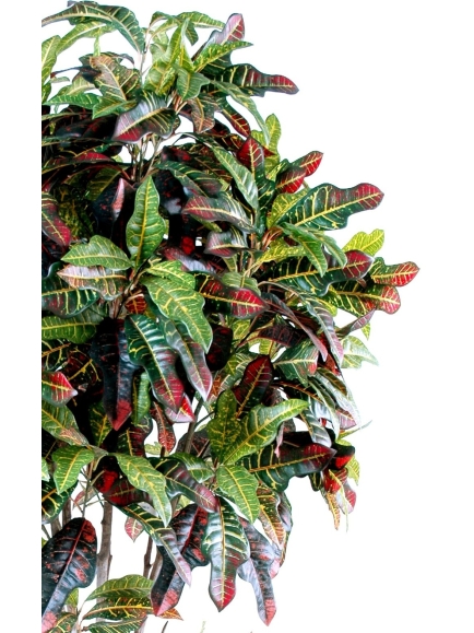 Croton artificiel tronc bois naturel - 110 cm