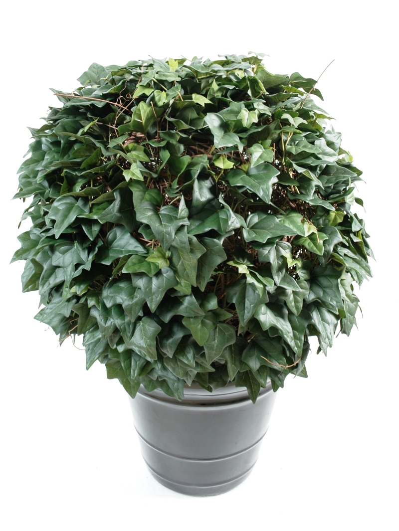 Lierre artificiel boule - 70 cm