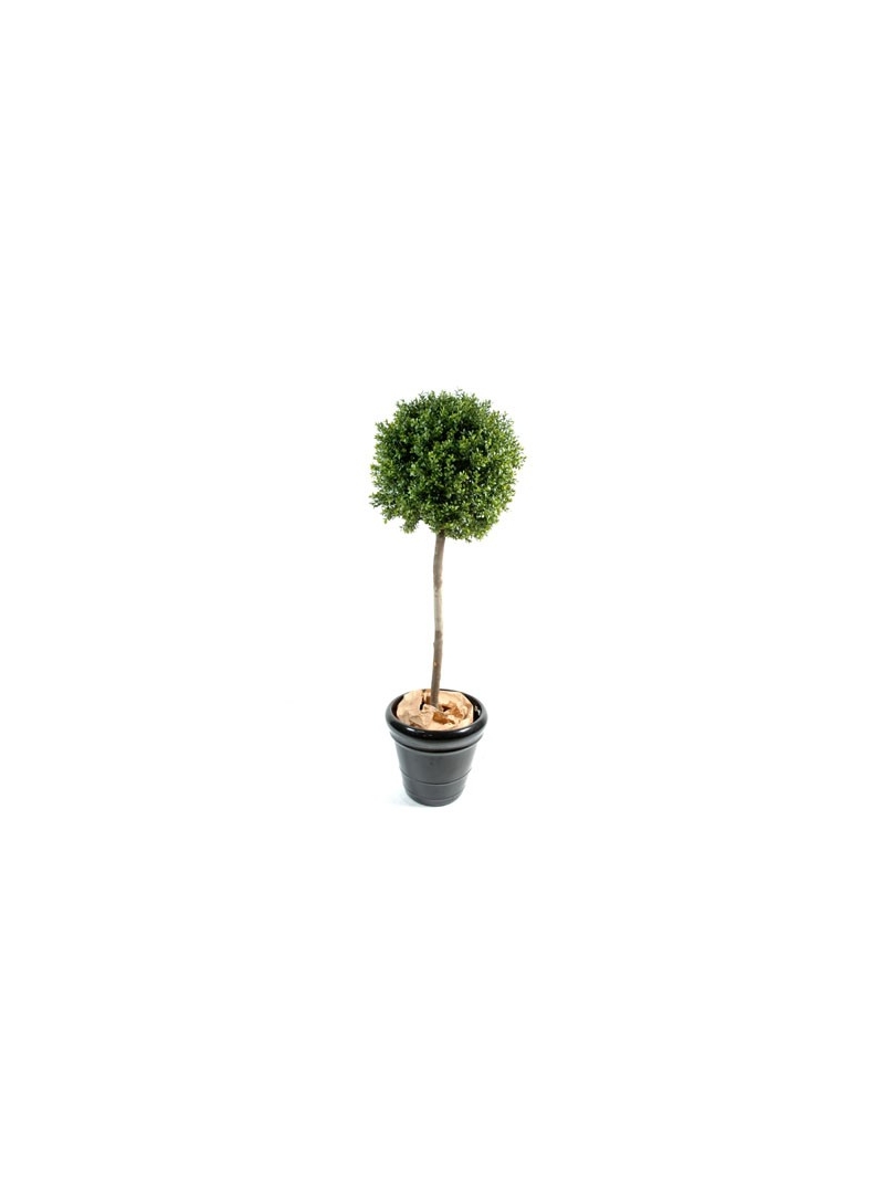 Buis boule tige bois naturel 170 cm