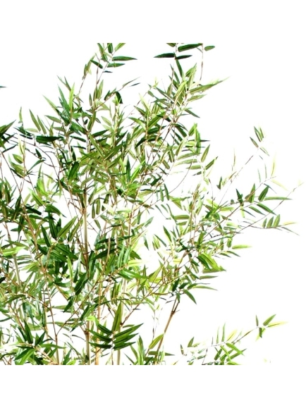 Bambou artificiel oreiental new - 280 cm