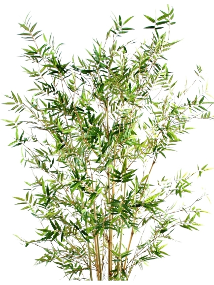 Bambou artificiel oreiental new - 280 cm