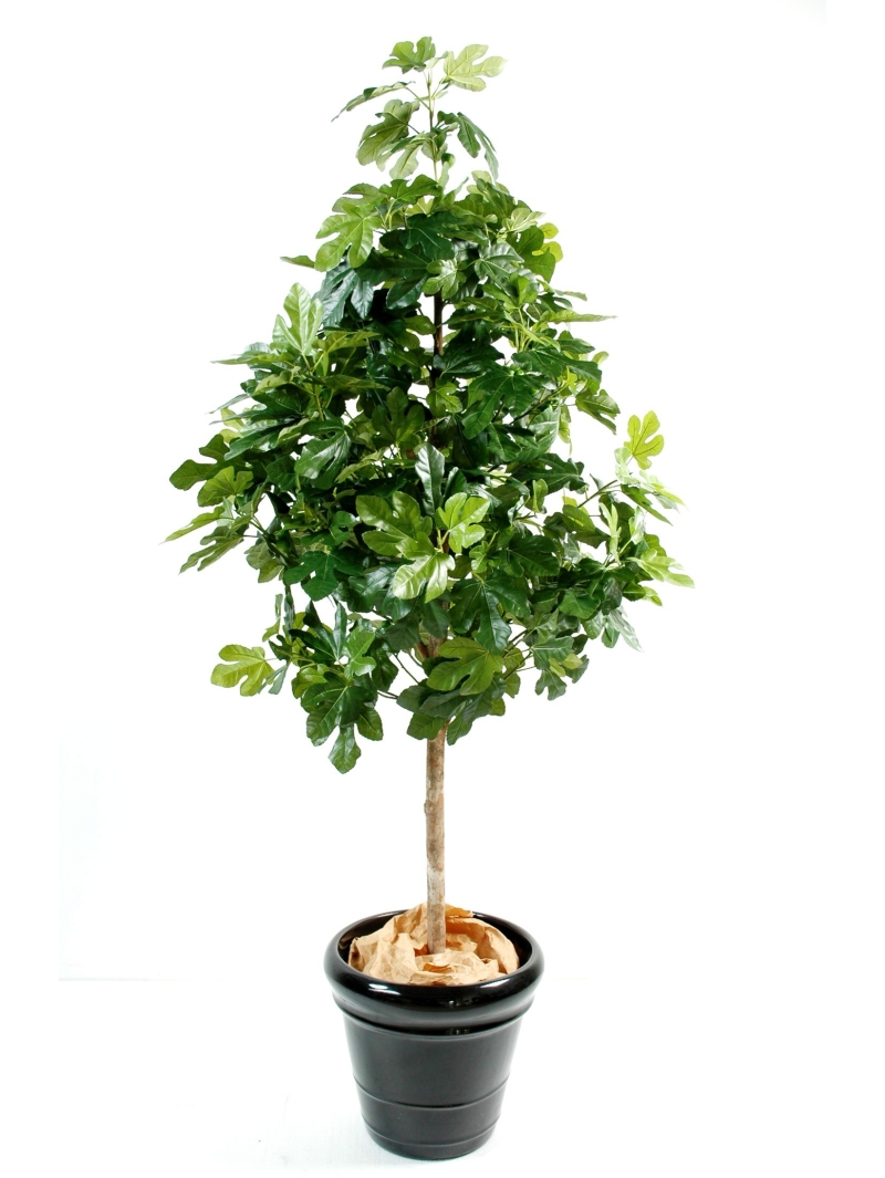 Figuier Arbre Artificiel et Fruits
