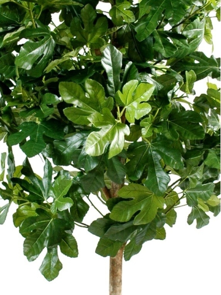 Figuier Arbre Artificiel et Fruits
