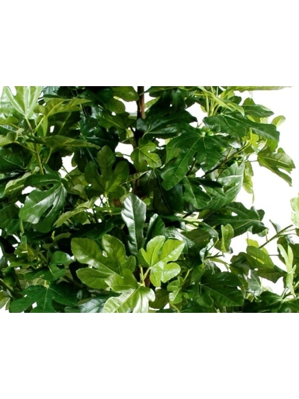 Figuier Arbre Artificiel et Fruits