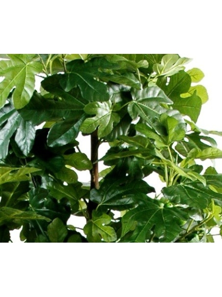 Figuier Arbre Artificiel et Fruits