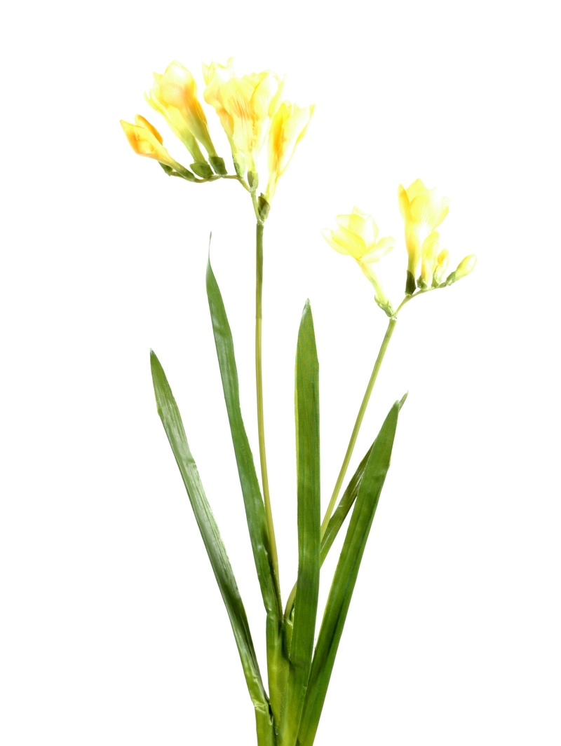 Freesia Artificielle - Par 12 - Fleurs Artificielles