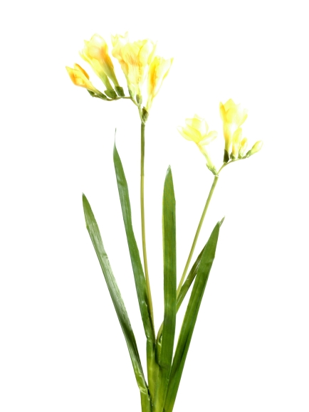 Freesia Artificielle - Par 12 - Fleurs Artificielles