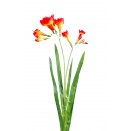 Freesia Artificiel - Par 12 - Fleurs Artificielles Orange