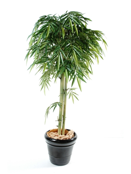 Bambou Artificiel New 3 Têtes