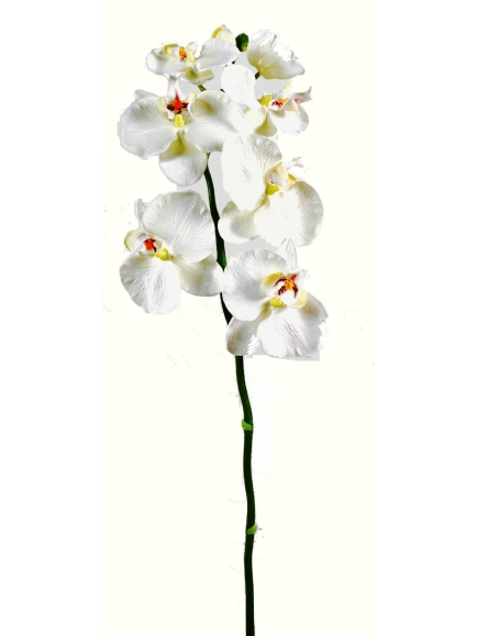 Phalaénopsis Artificielle Tige Médium