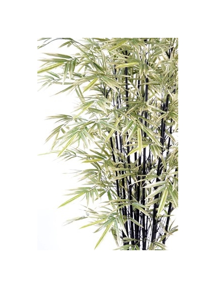 Bambou artificiel black Shiroshima (cannes noir) 3 tailles