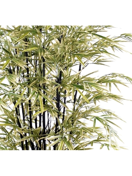 Bambou artificiel black Shiroshima (cannes noir) 3 tailles