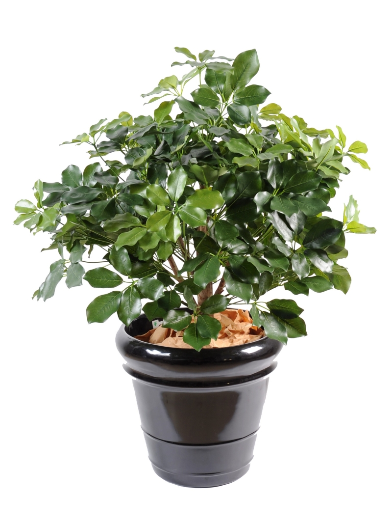 Shefflera artificiel Buisson 90 cm