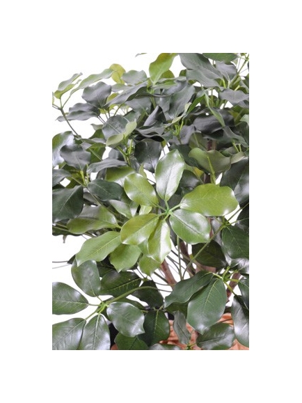 Shefflera artificiel Buisson 90 cm