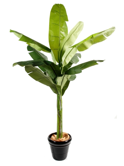 Bananier artificiel - 180 cm