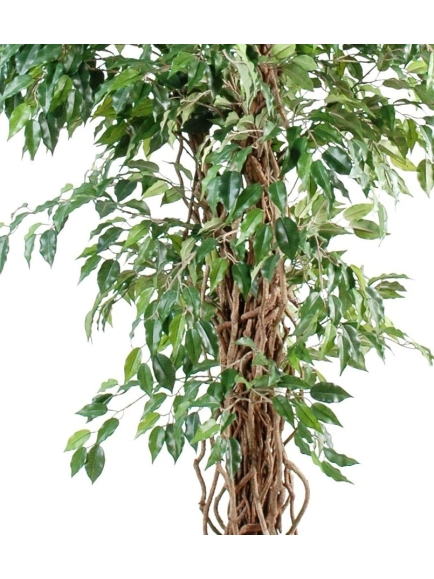 Ficus artificiel tronc bois liane PF panaché 
