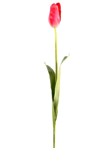 Tulipes Artificielles - par 12 