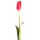 Tulipes Artificielles - par 12 