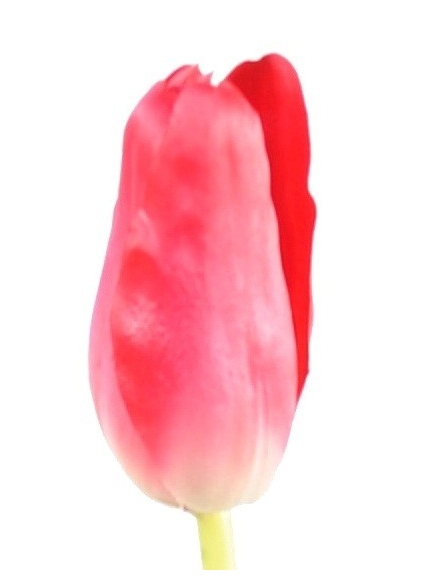Tulipes Artificielles - par 12 