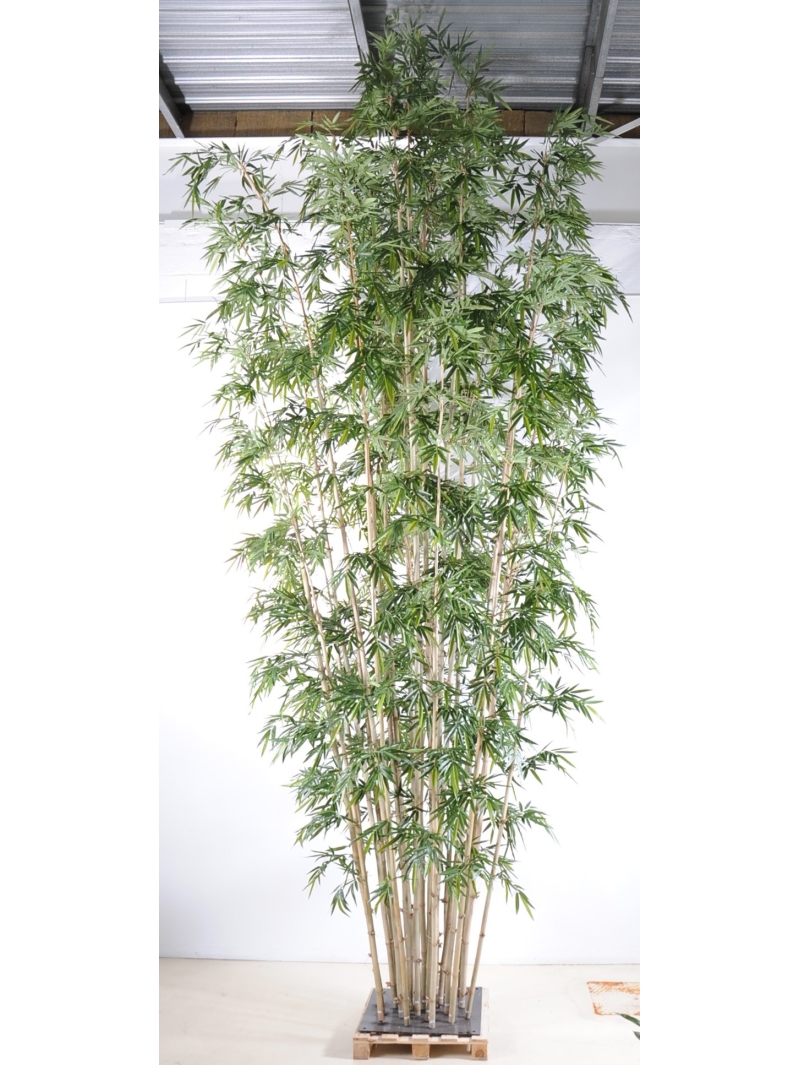 Bambou new geant luxe 700 cm