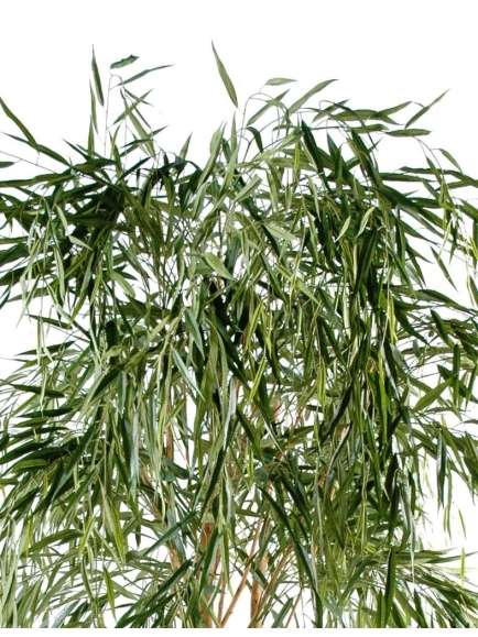 Saule Pleureur Artificiel