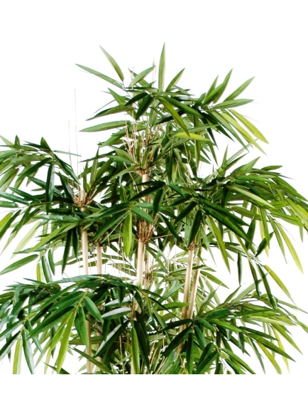 Bambou new artificiel 270 cm
