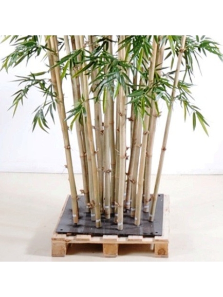 Bambou new geant luxe 700 cm
