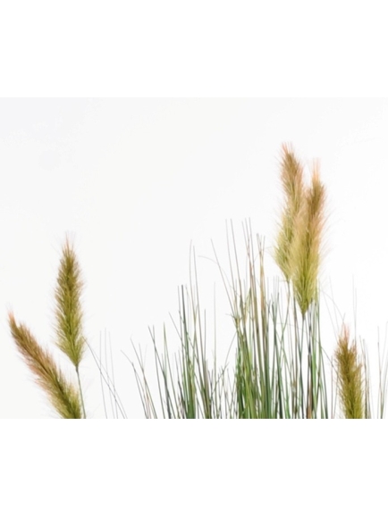 Foxtail artificiel en pot pure blanc 120 cm