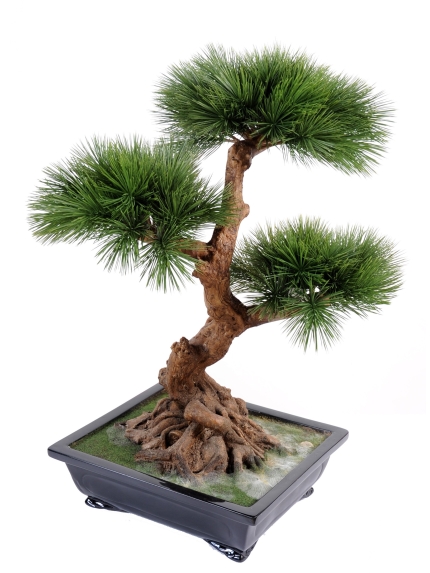 Bonsaï artificiel pin en coupe 57 cm