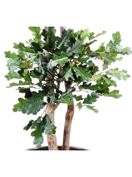 Chene artificiel New 180 cm