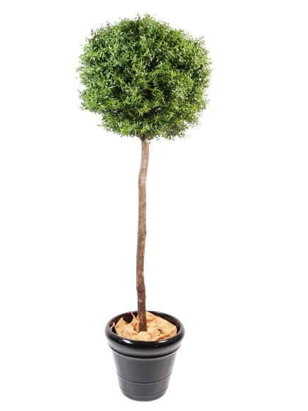 Eucalyptus artificiel plastique -  tronc bois
