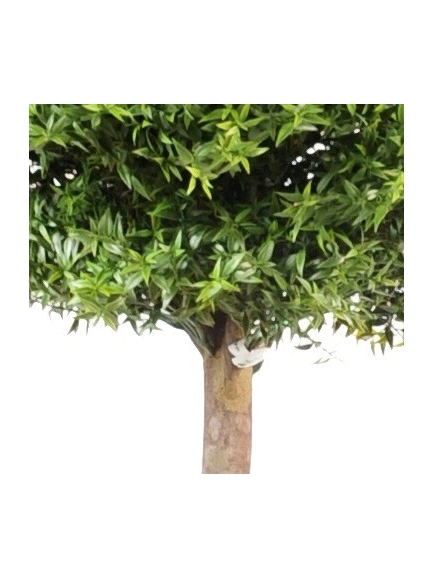Eucalyptus artificiel plastique -  tronc bois