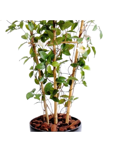 Clématite palissade artificielle - hauteur 140 cm - largueur 50 cm