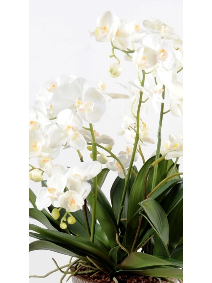 Composition phalaenopsis artificielle 100 cm