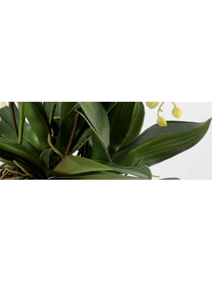 Composition phalaenopsis artificielle 100 cm