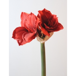 Amaryllis artificiel en tige 75 cm vendus par 6 Rouge