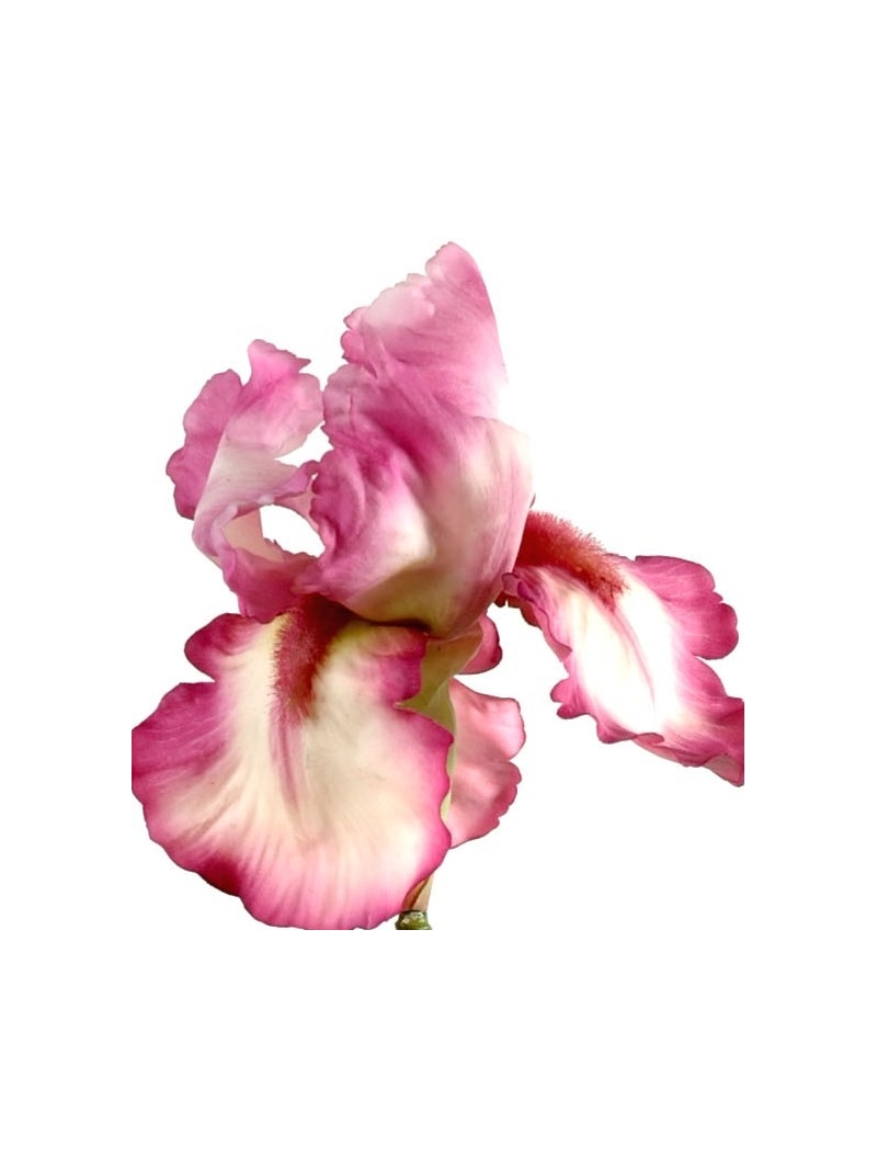 Iris sauvage artificiel vendu par 6 tiges