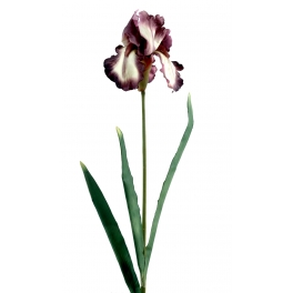 Iris sauvage artificiel vendu par 6 tiges Prune